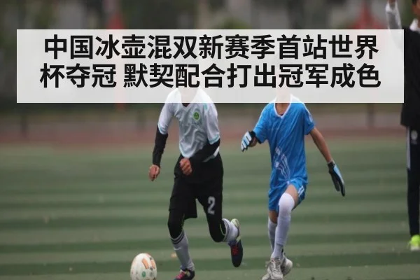 中国冰壶混双新赛季首站世界杯夺冠 默契配合打出冠军成色